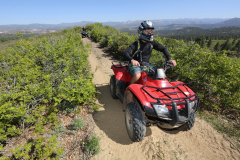 ATV-Quad2-ZionPonderosa-Copyright2014