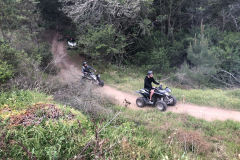 quadsWLDNS4