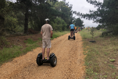 segwayforest4