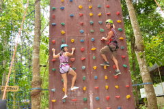 wallclimb2